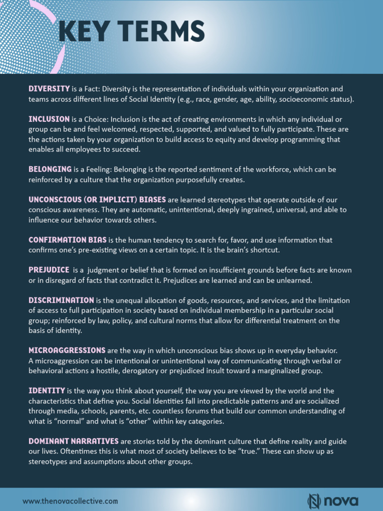 Diversity and Inclusion Strategies | PDF