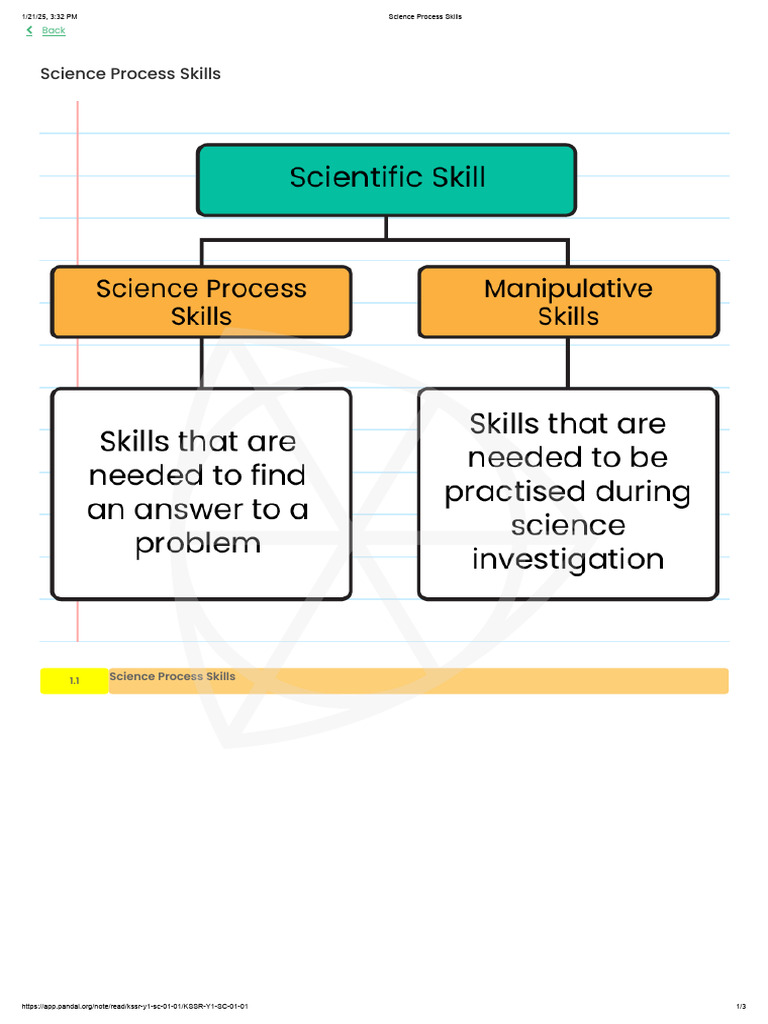 SC ENG STD 1 | PDF