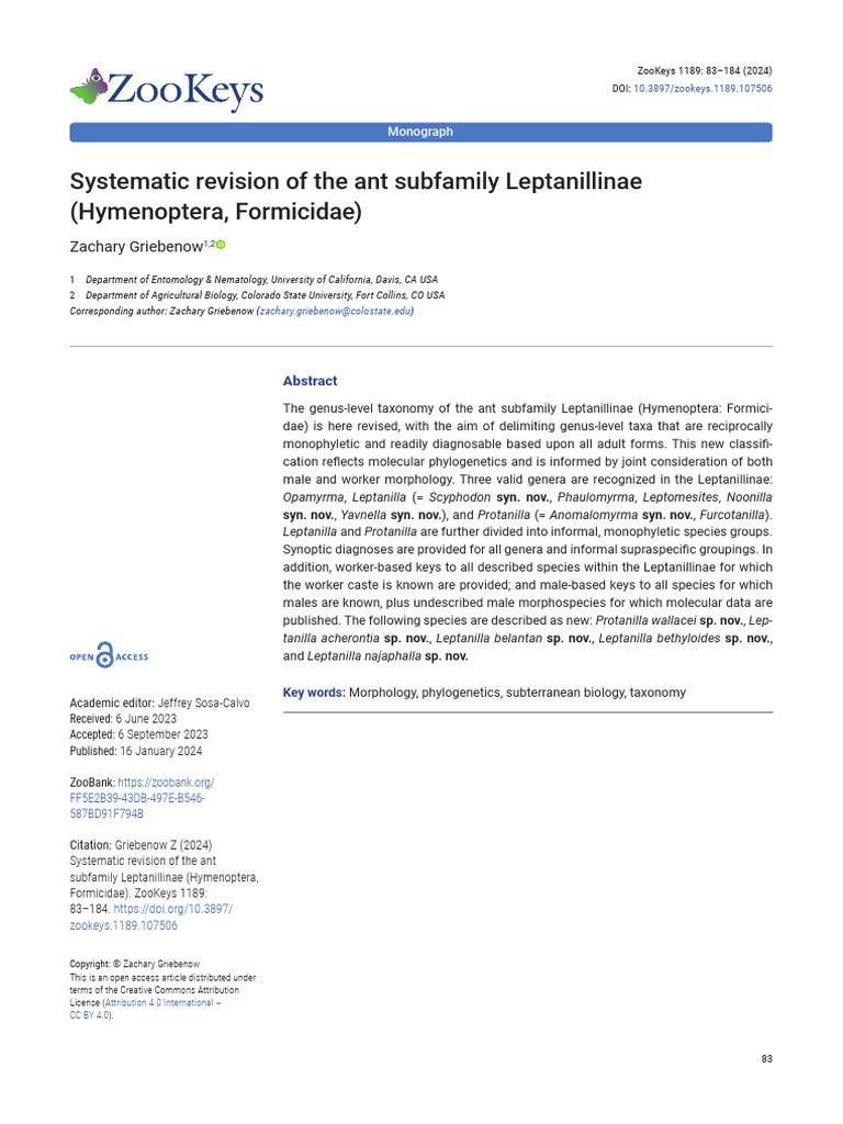 Systematic Revision of The Ant Subfamily Leptanillinae Hymenoptera ...