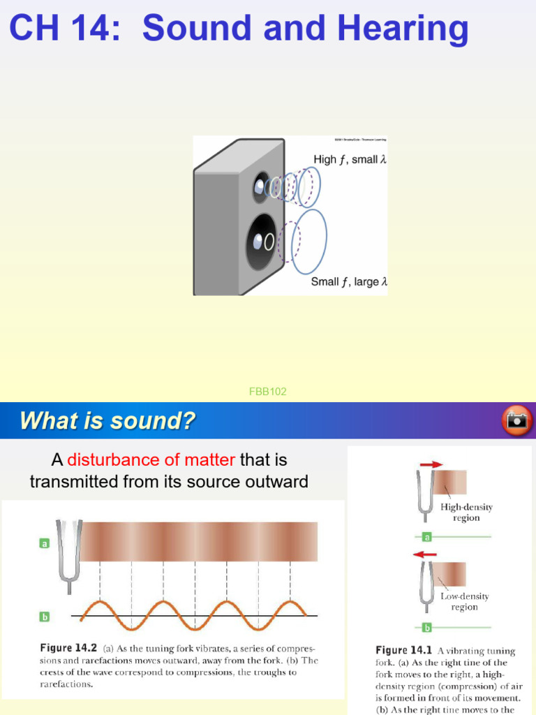 Sound and Hearing: Key Concepts Explained | PDF | Sound | Doppler Effect