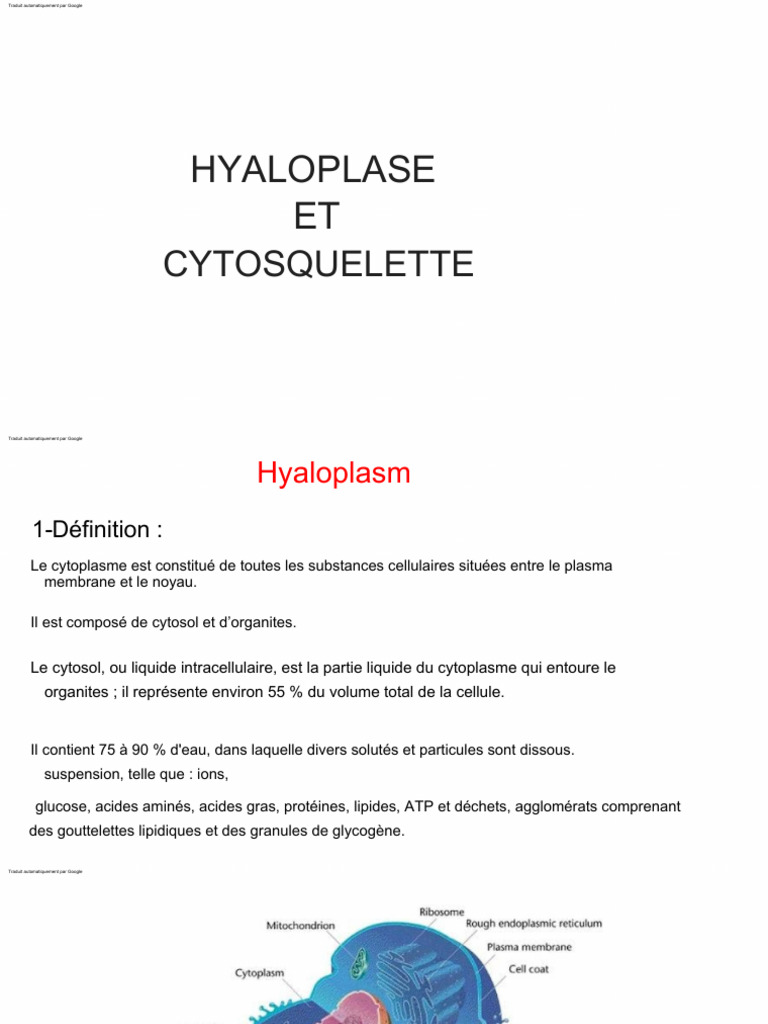 Hyaloplasme et Cytosquelette Cellulaire | PDF | Microtubule | Cytosquelette