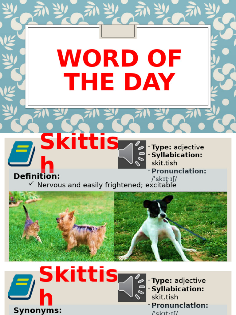 LESSON+7+ +the+Effective+Reader | PDF