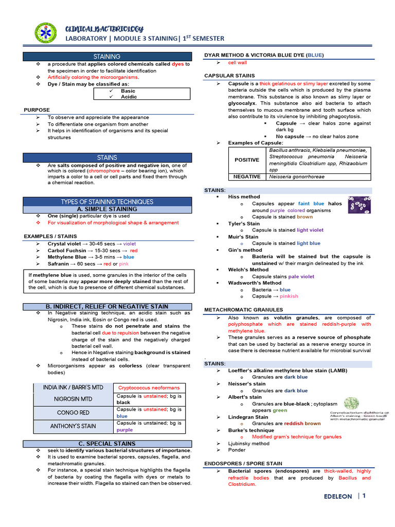 Copy-of-M3-Lab | PDF | Staining | Bacteria