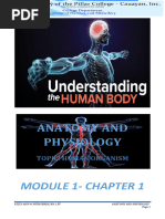 Chapter 1 The Human Body | PDF | Human Body | Blood