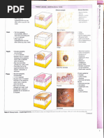Generalized and Localized Rashes - Lecturio | PDF | Dermatitis | Causes ...