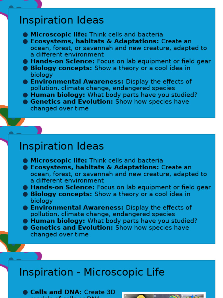 Creative Biology Project Ideas | PDF | Biology | Natural Environment