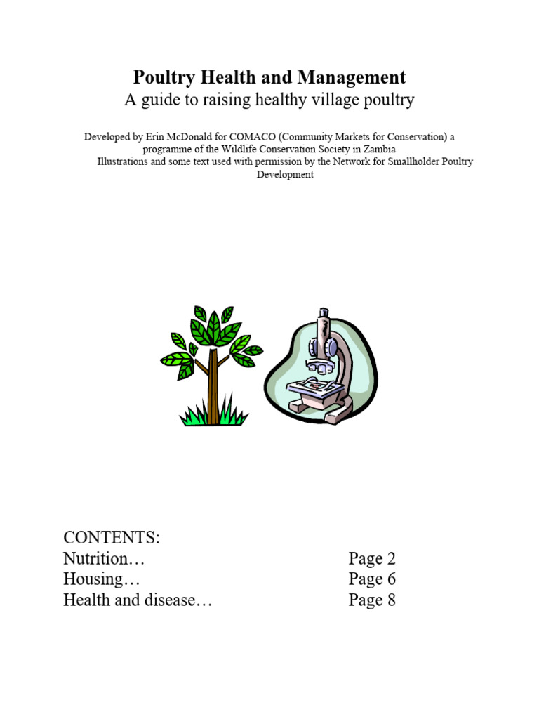 View of Poultry Health Management Guide | PDF | Chicken | Poultry Farming
