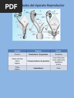 anatom-a-del-pene-en-gatos-y-carneros-pdf
