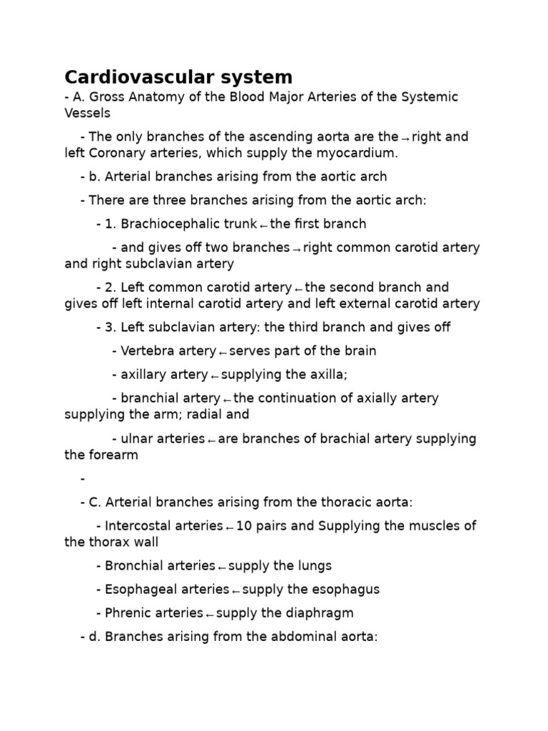 Anatomy of the Cardiovascular System | PDF | Heart Valve | Vein