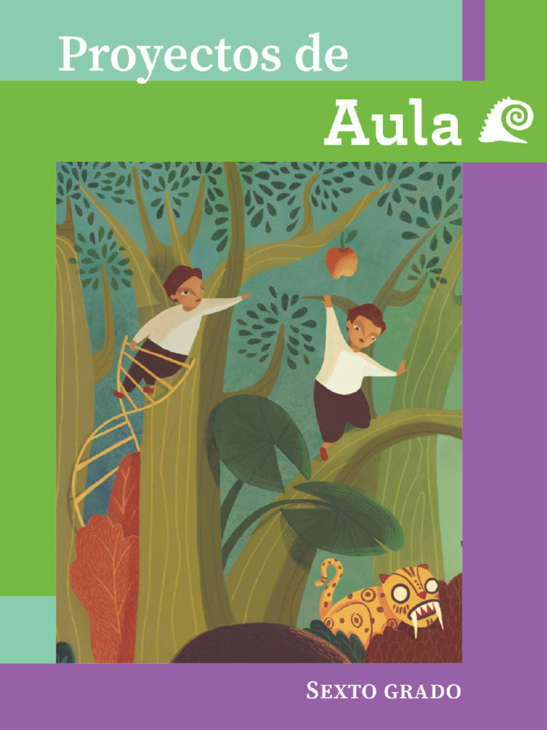 P6 Proyectos de Aula PAA 2024 2025 | PDF