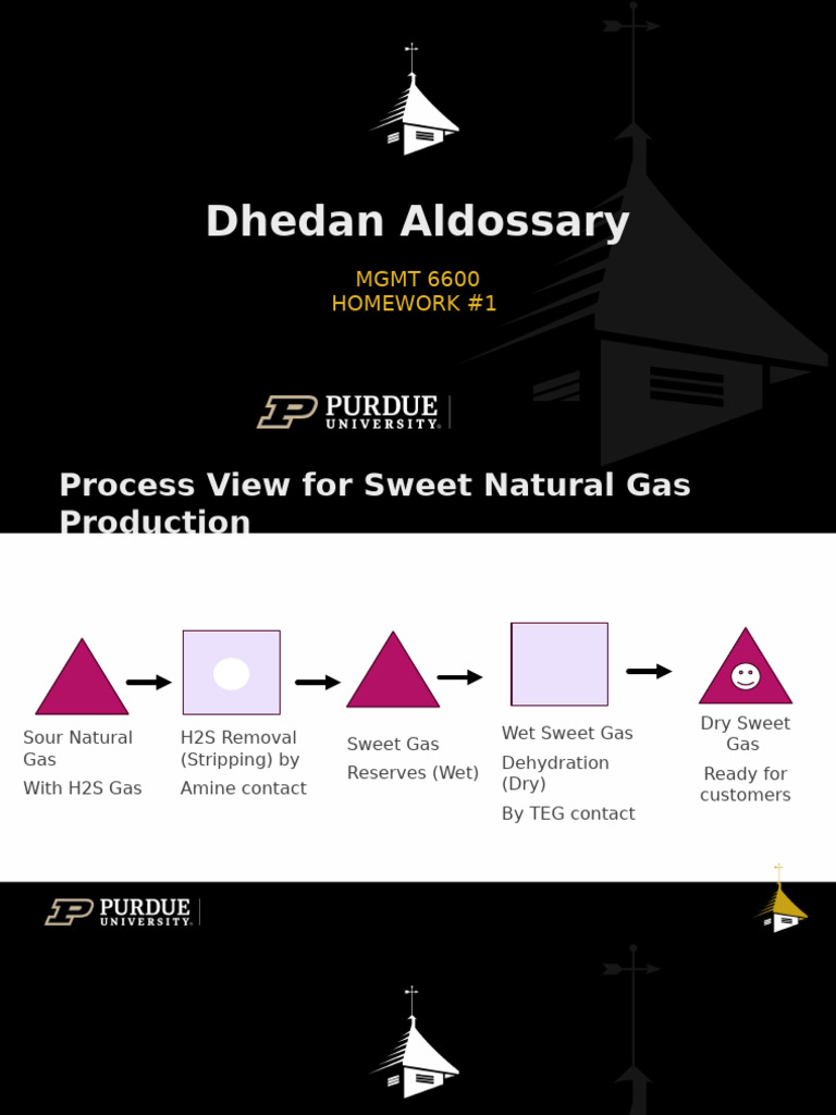 HW#1 Process View For Sweet Natural Gas Production | PDF
