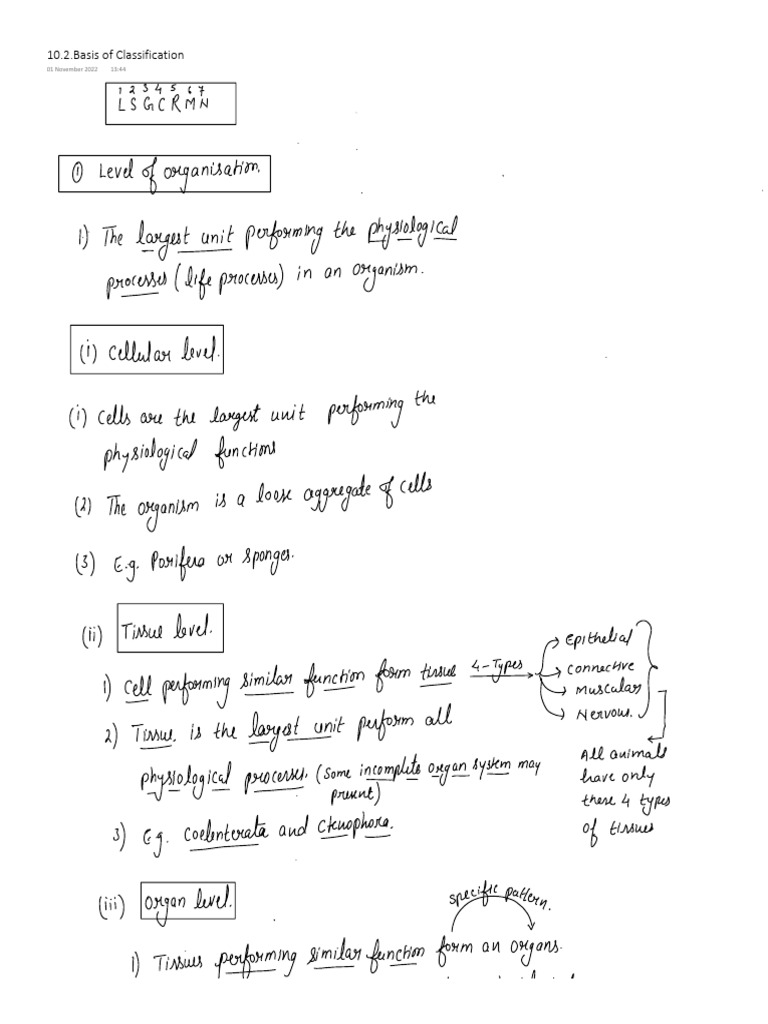 10.2.basis of Classification-1 | PDF