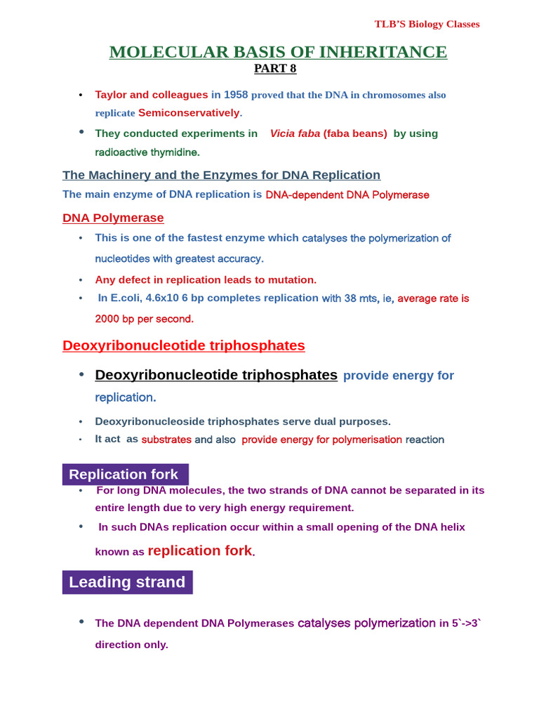 Molecular Basis Notes Part 8 | PDF