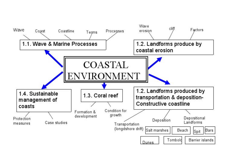Coastal Processes and Landforms Guide | PDF | Coast | Oceans