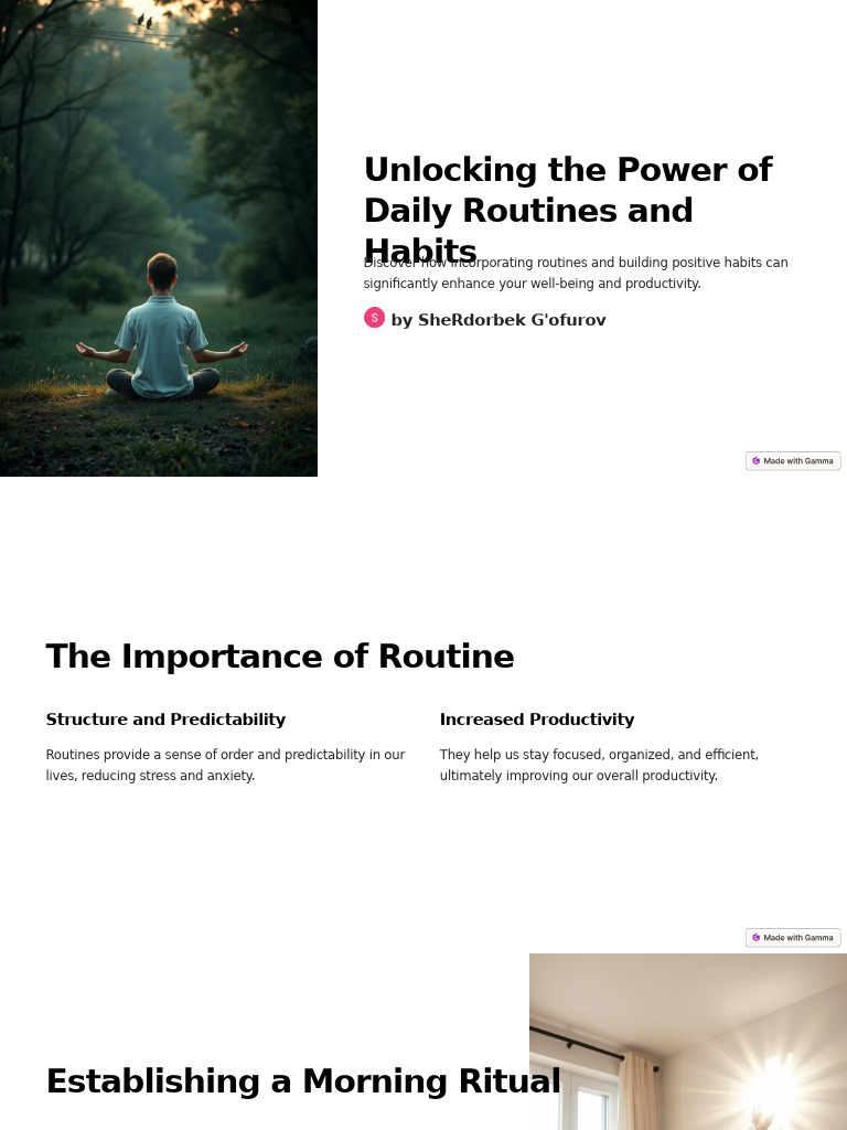 Boost Productivity with Daily Habits | PDF | Habits | Meditation