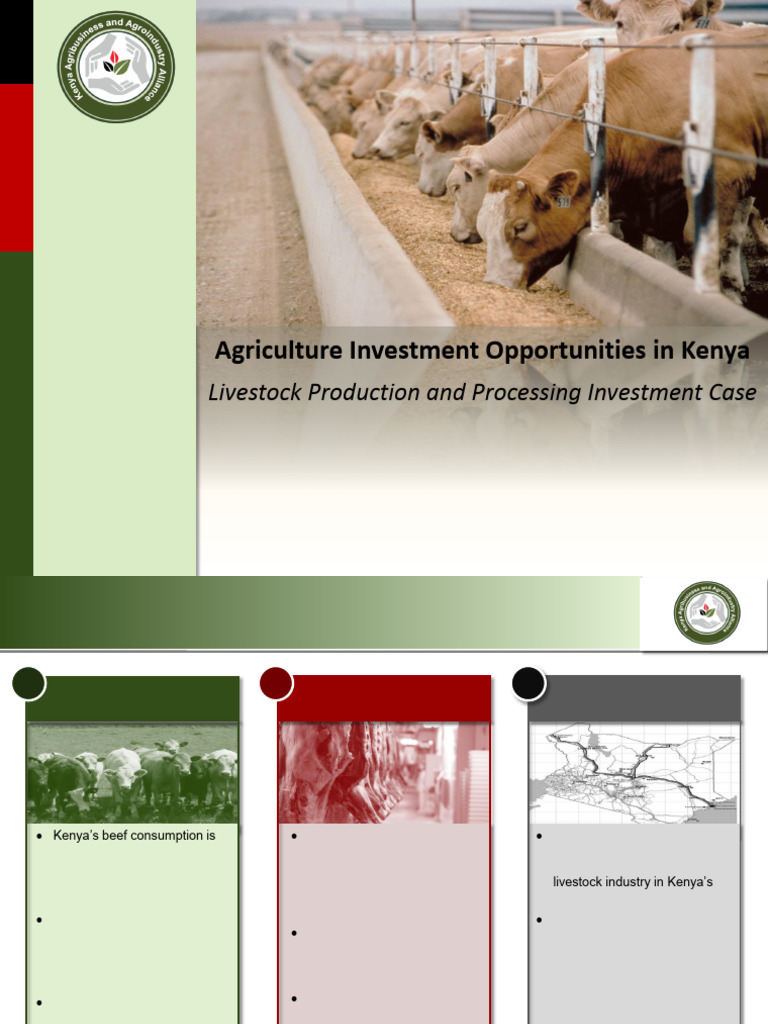 Livestock Production and Processing Investment Opportunity | PDF ...