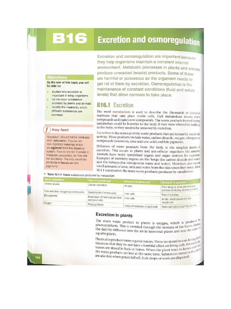 Bio 5 | PDF
