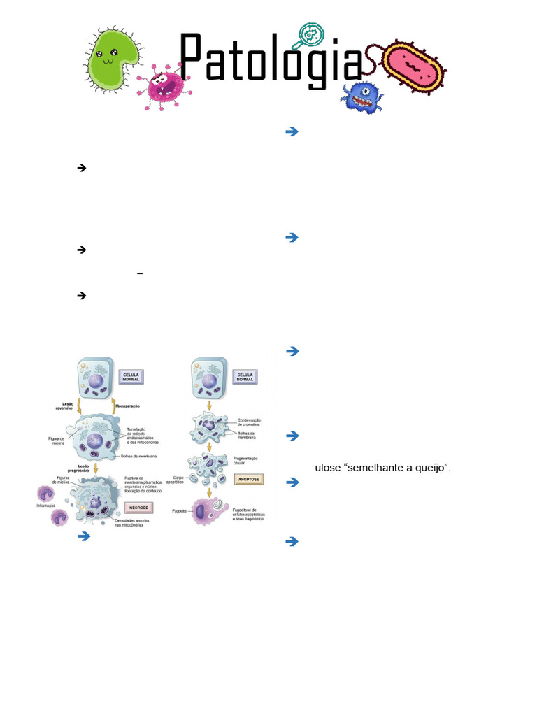 Tipos e Mecanismos de Lesão Celular | PDF | Necrose | Apoptose