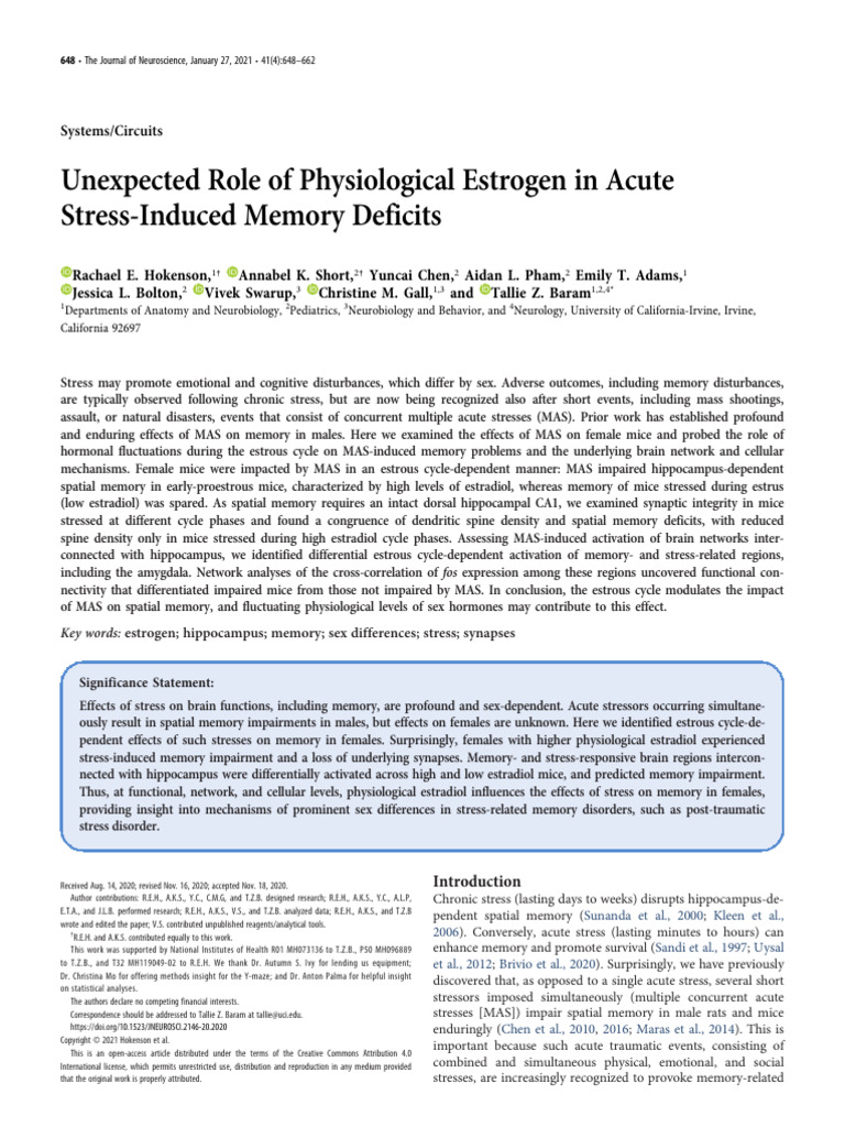 Estogen in Stress-Induced Memory Deficits | PDF | Memory | Hippocampus