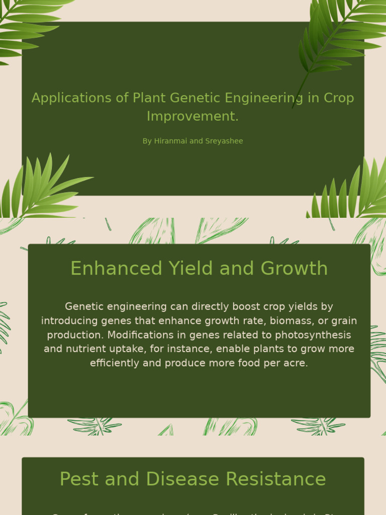 Genetic Engineering for Crop Improvement | PDF | Agriculture | Genetic ...