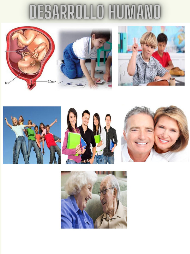 Etapas Del Desarrollo Humano | PDF