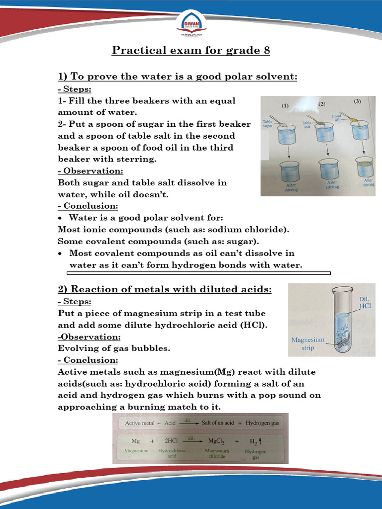Grade 8 Science Practical Exam | PDF