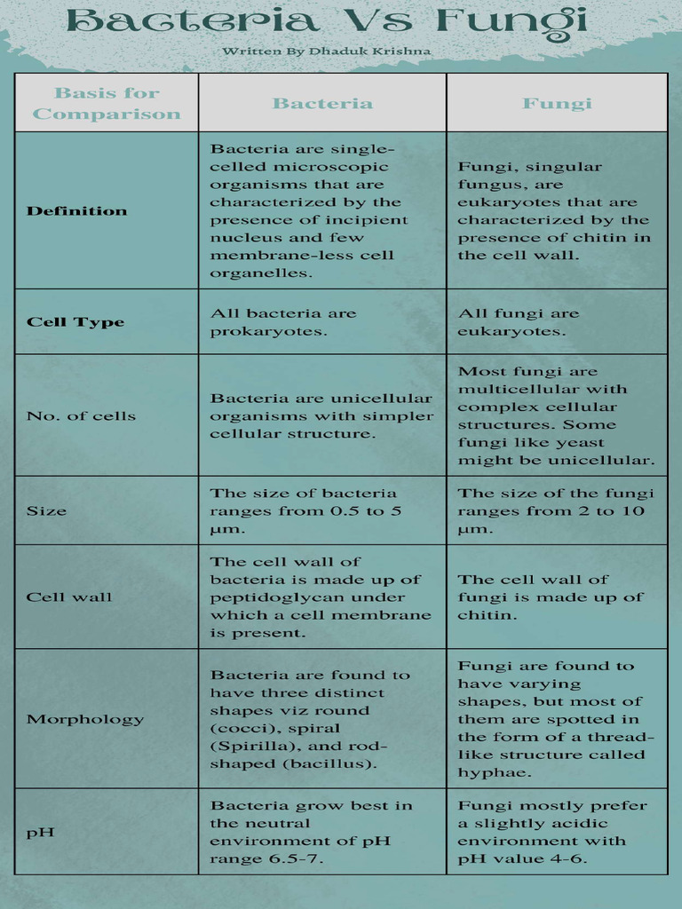Bacteria Vs Fungi - Compressed | PDF