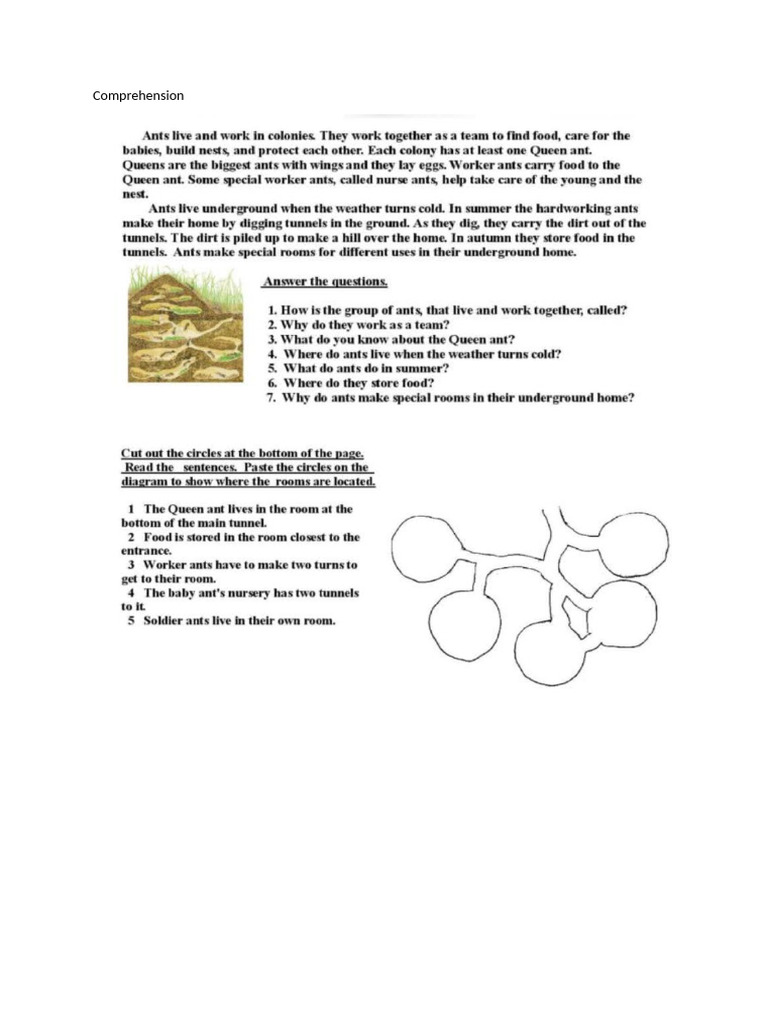 Comprehension Pdf