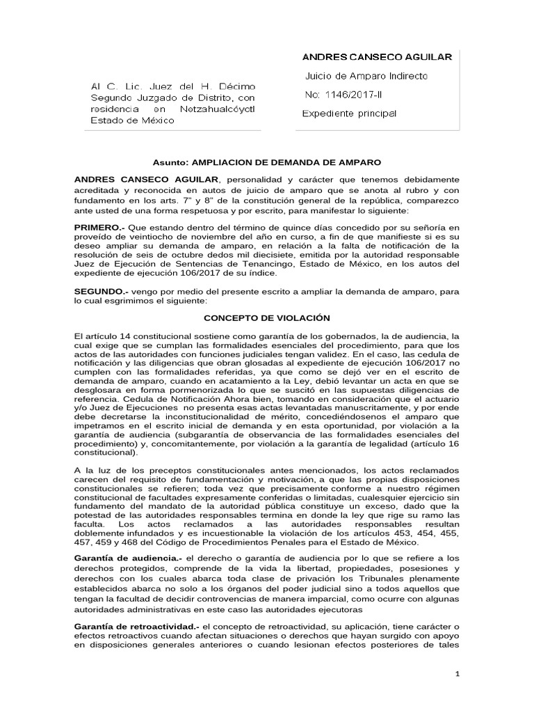 Ampliación de Demanda de Amparo | PDF | Caso de ley | Constitución