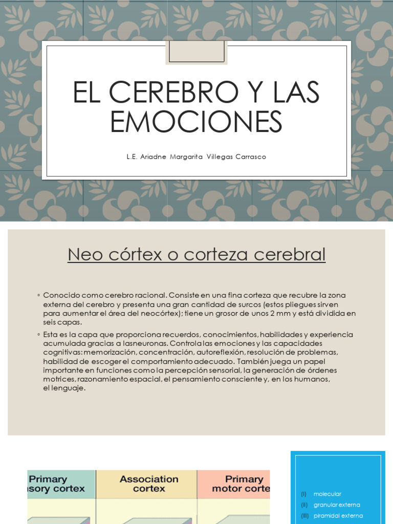 Cerebro y emociones: funciones y procesos | PDF | Las emociones | Cerebro