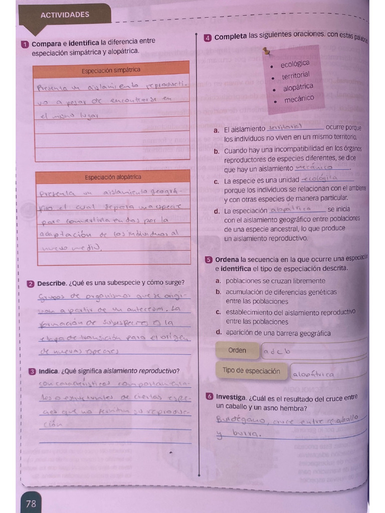 Documento 17 | PDF