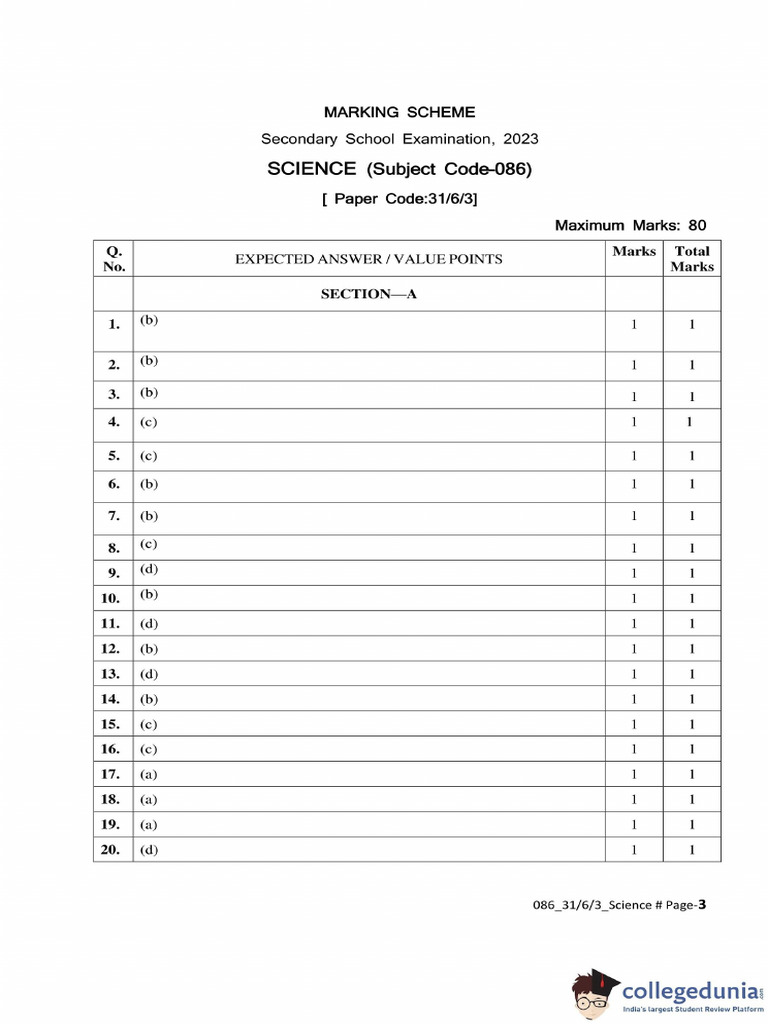 Evaluator Guidelines and Answers | PDF
