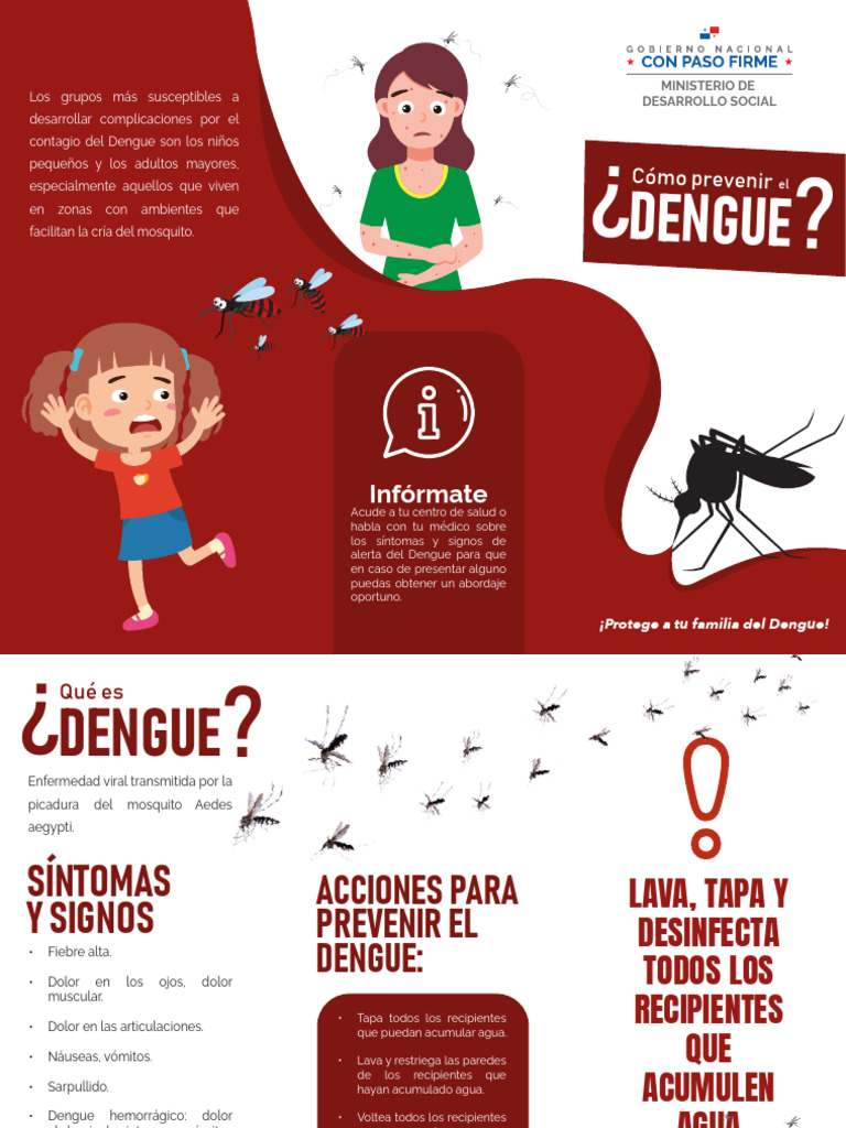 Flyer Dengue Pdf Inmunología Enfermedades Animales