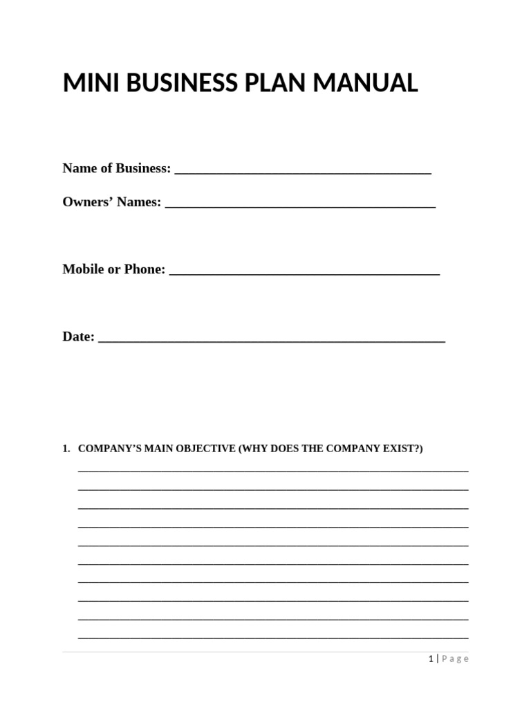 MINI BUSINESS PLAN | PDF | Expense | Business Economics