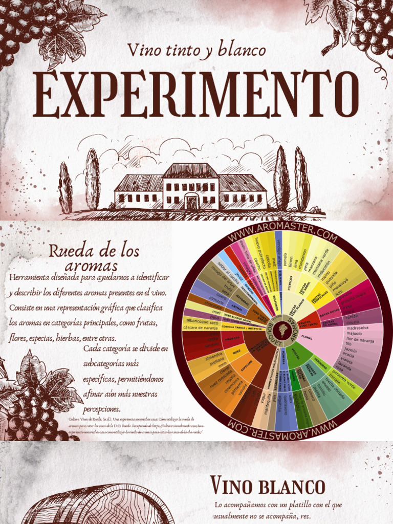 Rueda de Aromas para Vinos | PDF