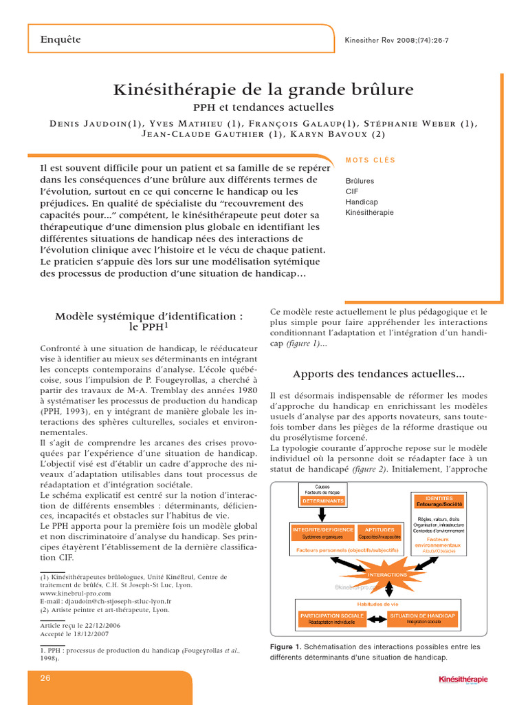 Modèle PPH : Analyse systémique du handicap | PDF | Invalidité ...