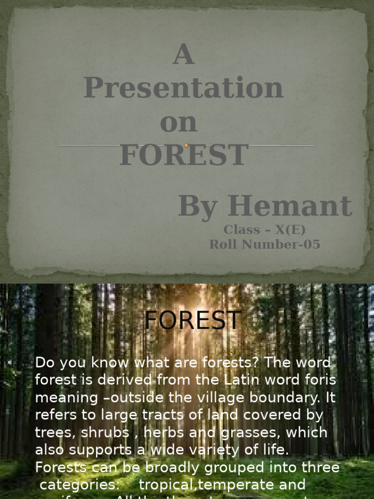 Understanding Forest Ecosystems | PDF | Forests | Botany