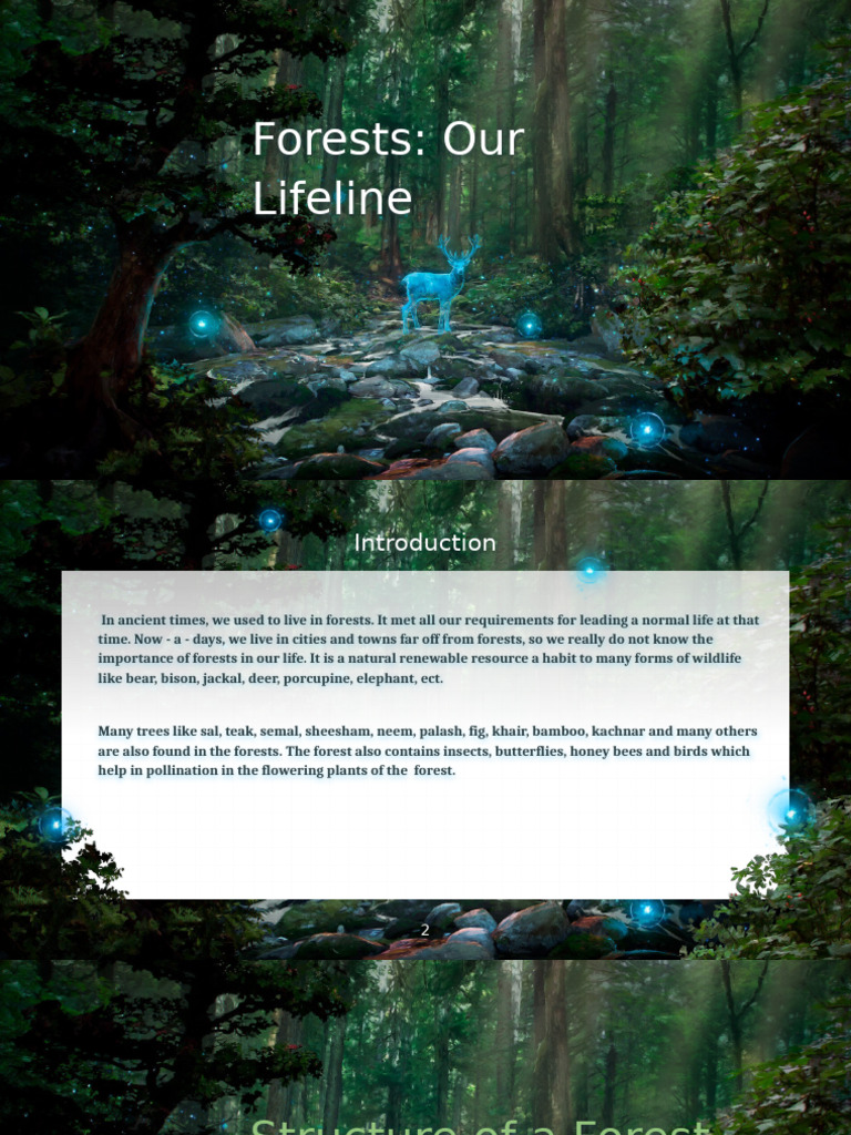 Forestourlifeline 210312071742 | PDF | Soil | Plants