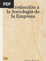 Tema 1 Introduccion a La Sociologia de La Empresa (fragmento)