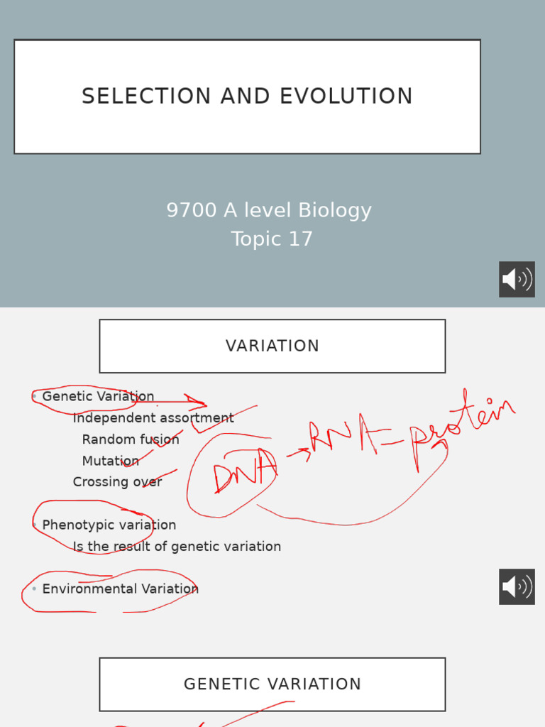 Genetic Variation and Natural Selection | PDF | Natural Selection | Allele