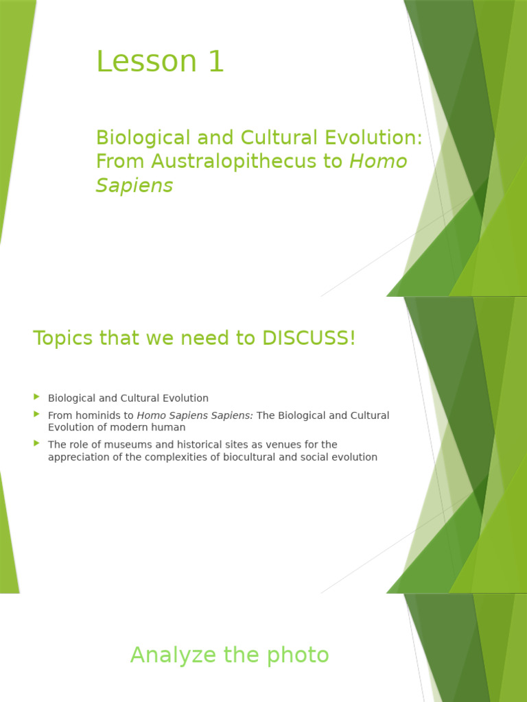 Origins of Homo Habilis: The Handy Man | PDF | Homo | Human