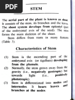 Types and Characteristics of Plant Stems | PDF | Plant Stem | Plants