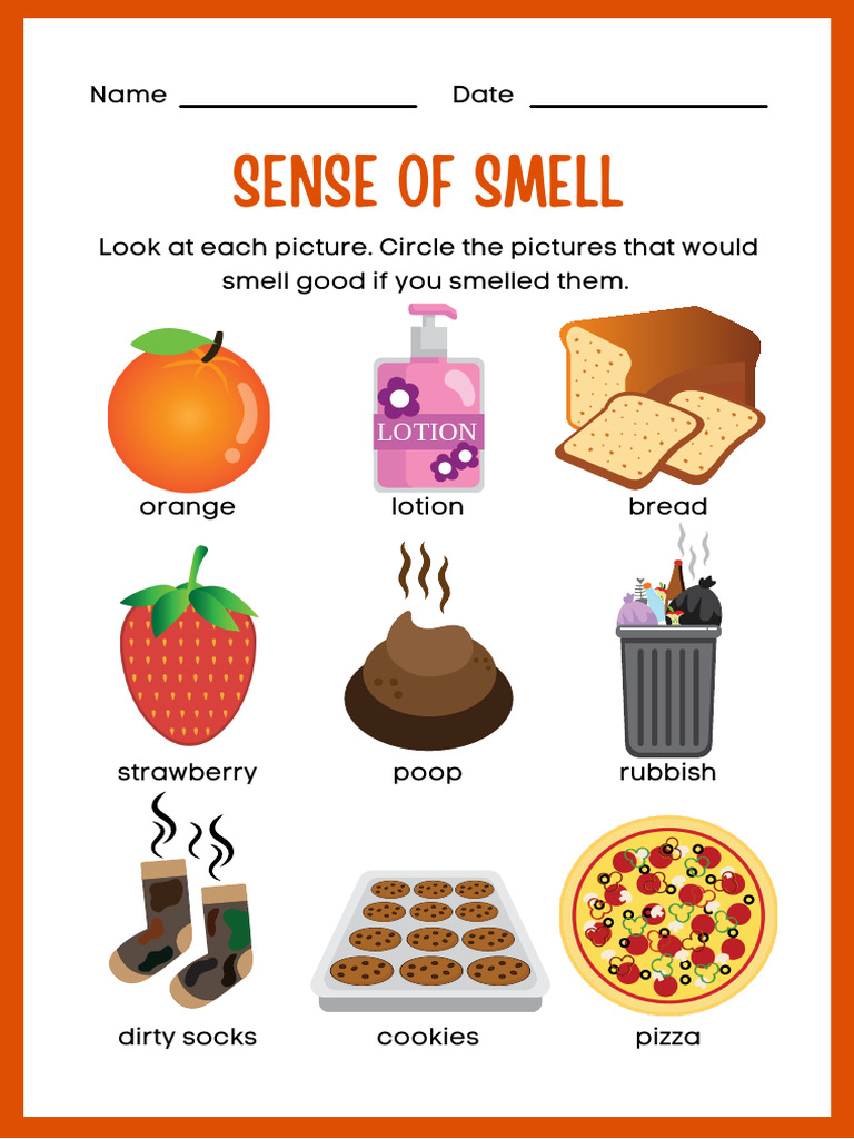 Smell Good: Circle & Color Activity | PDF