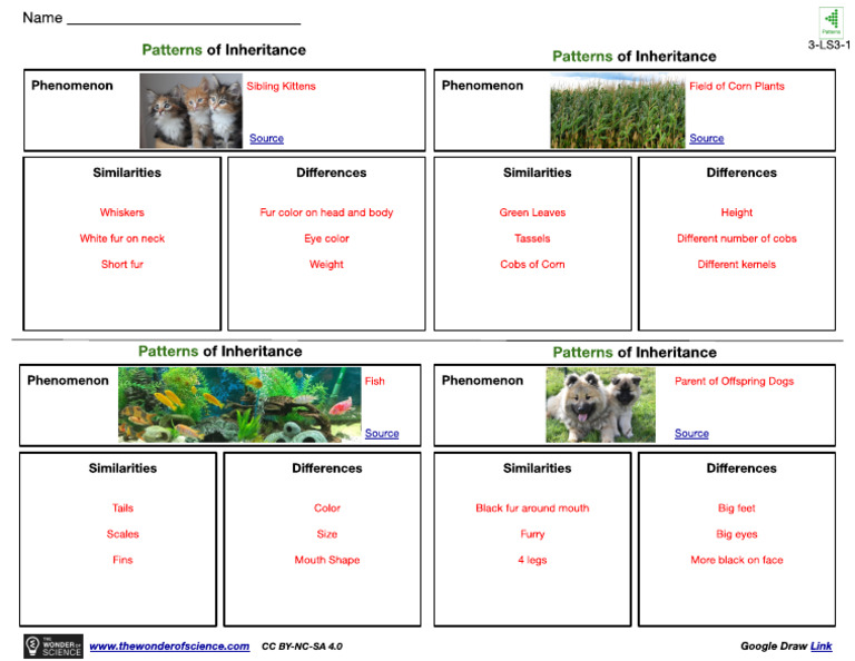 3-LS3-1+Patterns+of+Inheritance+(Teacher+Version) | PDF