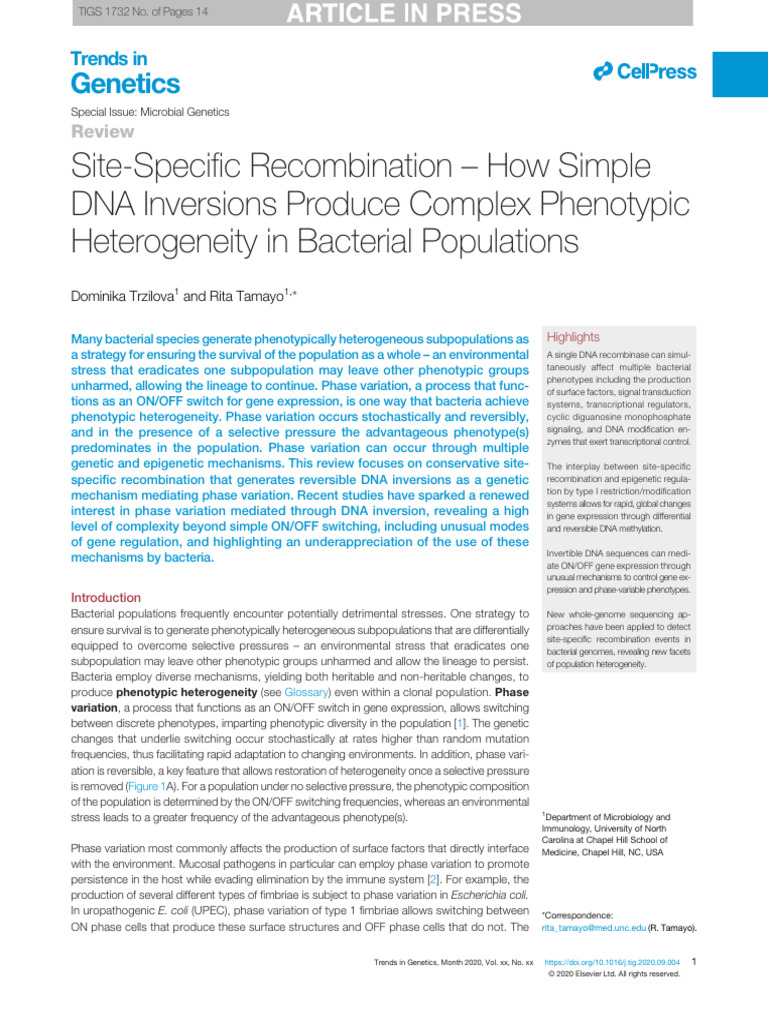DNA Inversions in Bacterial Phase Variation | PDF | Gene | Promoter ...