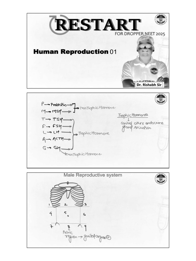 Human R | PDF