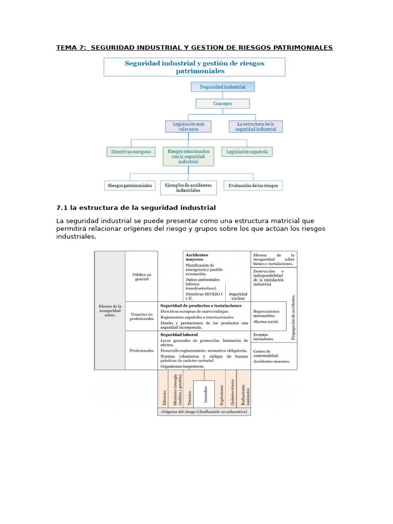 Tema 7 Seguridad Industrial y Gestion de Riesgos Patrimoniales | PDF ...