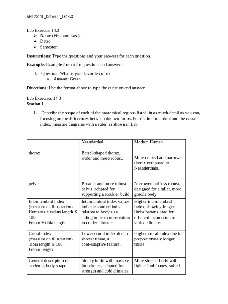 Lab+Exercise+14 3 | PDF