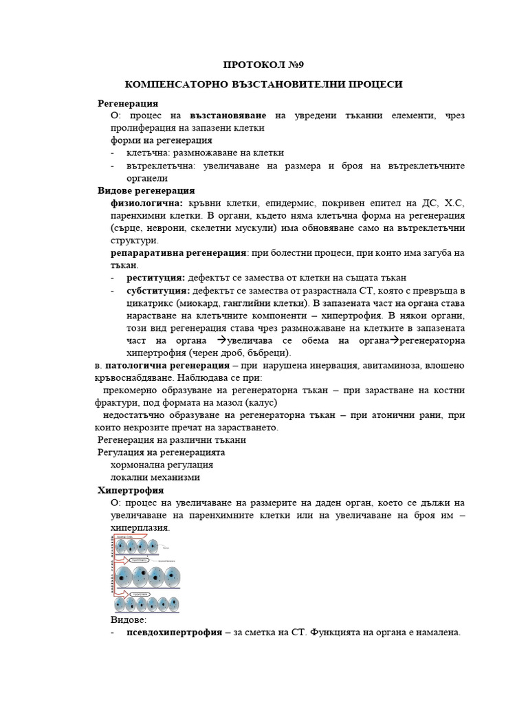 D Protokol 9-10 | PDF