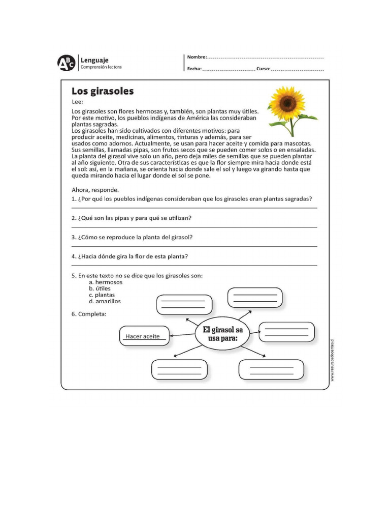 Compren Ion Lectora | PDF